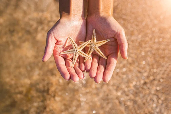Female Hands Palms Hold Two Starfishes Backdrop Sandy Beach Top — Φωτογραφία Αρχείου