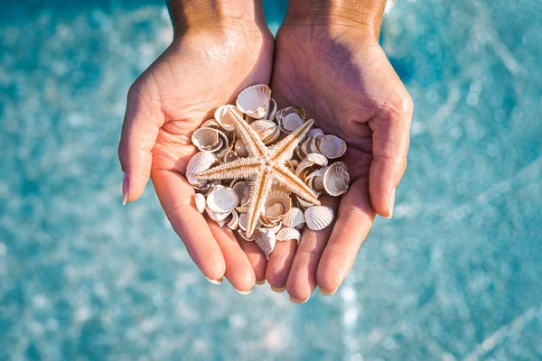 Woman Hands Hold Seashells Starfish Background Sea Top View Flat — Φωτογραφία Αρχείου