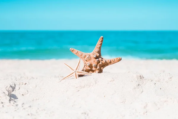 美丽的海星在沙滩上 旅行概念 — 图库照片