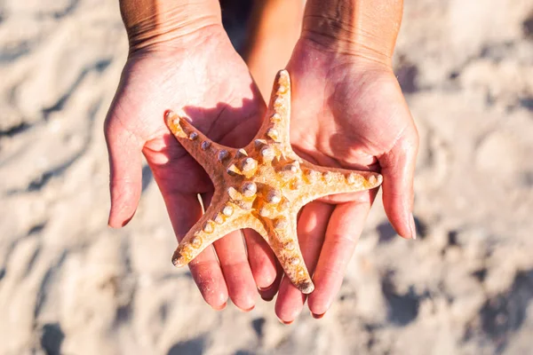 Female Hands Holding Beautiful Starfish Sandy Beach — Φωτογραφία Αρχείου