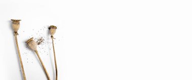 Beyaz arka planda kuru haşhaş kafalar. Üst manzara, düz yatış. Pankart