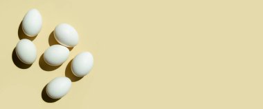 Hafif arka planda tavuk beyazı yumurtalar. Üst manzara, düz yatış. Pankart.