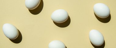 Açık kumlu arka planda beyaz tavuk yumurtaları. Üst manzara, düz yatış. Pankart.