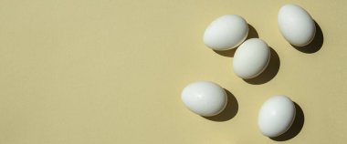 Hafif arka planda tavuk beyazı yumurtalar. Üst manzara, düz yatış. Pankart