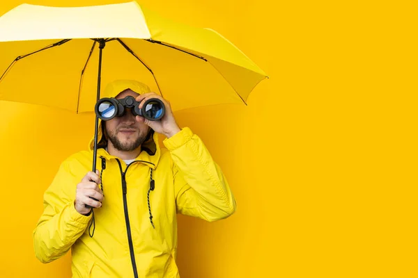 Young man in a raincoat with an umbrella looks through binoculars on a yellow background.
