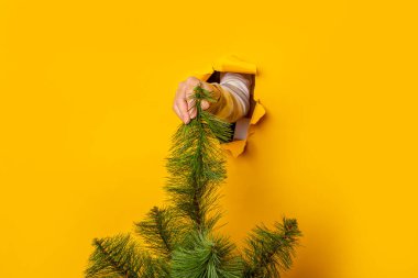 Sarı arka planda bir Noel ağacını tutan el. Yeni yıl ve Noel arifesi kavramı. Pankart.
