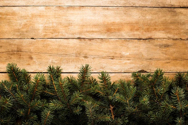 크리스마스 가지들과 크리스마스 — 스톡 사진