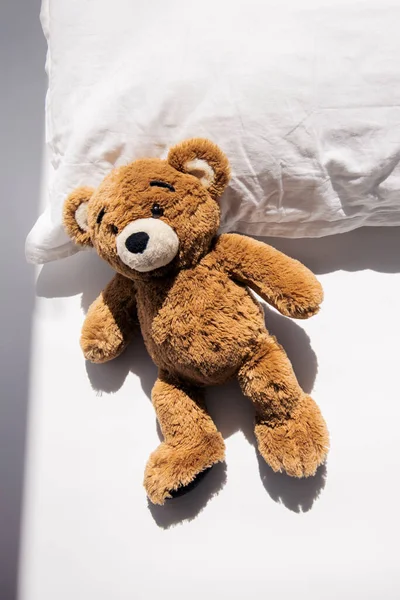 Urso Brinquedo Macio Está Travesseiro Sob Luz Natural Vista Superior — Fotografia de Stock