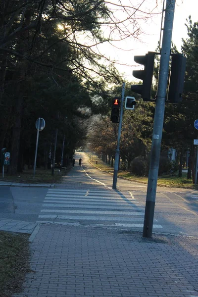 Sokakta Trafik Işığı — Stok fotoğraf