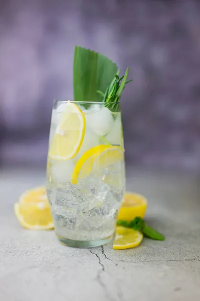 Cocktaildrank Alcoholische Limoen Rozemarijn Gin Tonic — Stockfoto