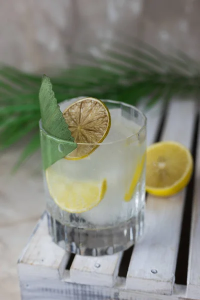 Cocktail Kall Med Gintonic Transparent Med Citron Och Bambu Blad — Stockfoto