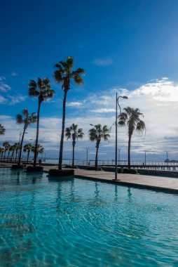 gezinti güvertesi Limasol güzel. Cyu 'da palmiye ağaçları ve deniz kıyısında yüzme havuzları var.