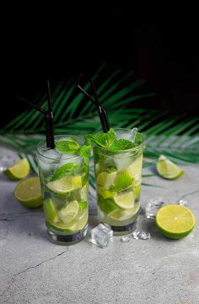 Alkoholhaltig Dryck Mojito Cocktail Med Lime Och Mynta Och Palmblad — Stockfoto
