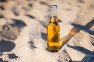 Alkollü bira şişesi kumsalda deniz kenarında serinletici bir bira
