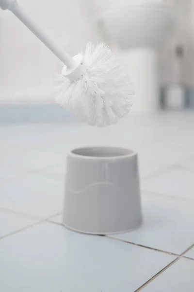 toilet brush for cleaning and cleaning the toilet bowl