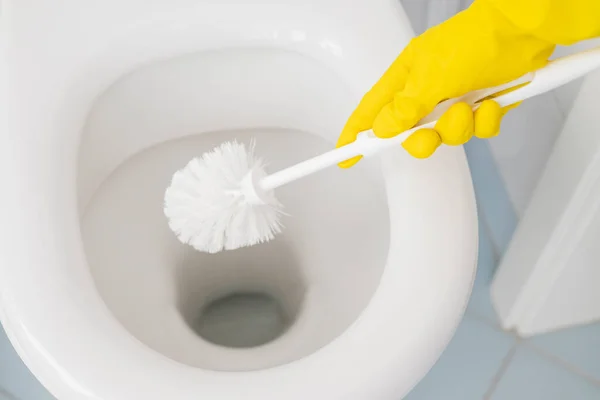 a girl in gloves cleans the ceramic toilet with a brush for disinfection and cleanliness