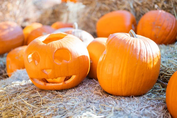 Oranžová Zeleninová Dýně Halloween Seno — Stock fotografie