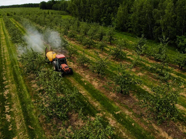 Traktor merah menyemprotkan pestisida di kebun apel. — Stok Foto
