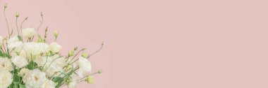 Açık pembe arka planda uzun dalgalı tomurcukları olan narin beyaz bej çiçekler. Kopyalayacak bir yer. Panorama, yatay fotoğraf. Kartpostal Tasarım için düzenName.