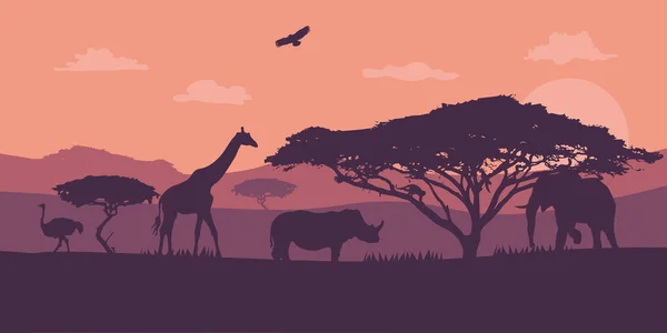 Increíble puesta de sol y salida del sol. Silueta panorámica en África con puesta de sol. Árbol oscuro en campo abierto dramático amanecer.Tema de safari. Jirafas, elefante, rinoceronte, aves. EPS — Archivo Imágenes Vectoriales