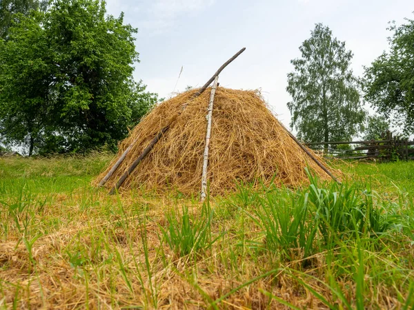 Nahaufnahme Eines Goldenen Stapels Gemähten Trockenen Grases Dorf Landschaft Ländliches — Stockfoto