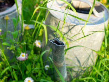 Eski bir metal sulama kutusu çimlerin üzerinde duruyor. Seçici odak