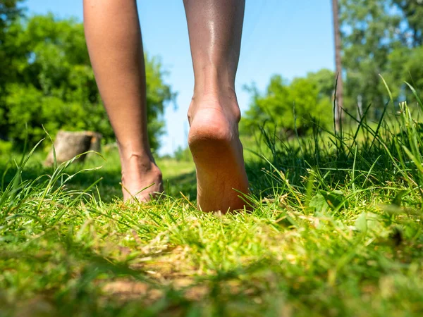 Крупним Планом Красиві Жіночі Ноги Ходять Босоніж Зеленій Траві Влітку Ліцензійні Стокові Зображення