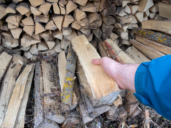 Main Homme Tient Une Bûche Tirée Tas Bois Chauffage — Photo