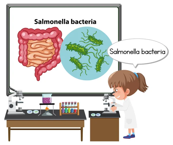 Молодий Лікар Пояснює Ілюстрацію Бактерій Сальмонели — стоковий вектор