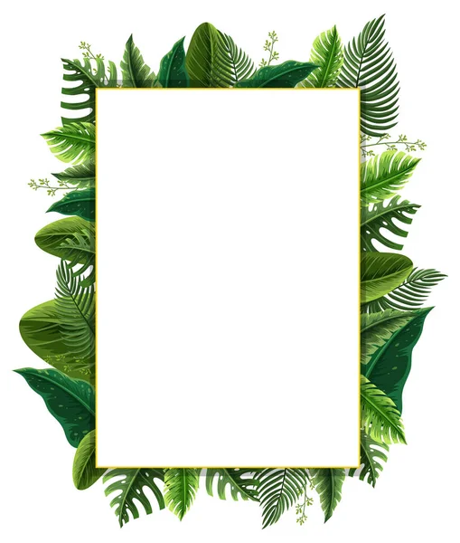 Vierkant Frame Met Tropische Groene Bladeren Illustratie — Stockvector