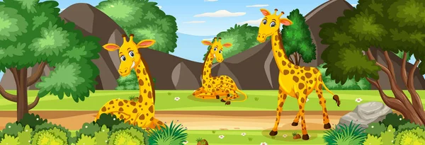 Обзорная Сцена Большим Количеством Жирафов Лесной Иллюстрации — стоковый вектор