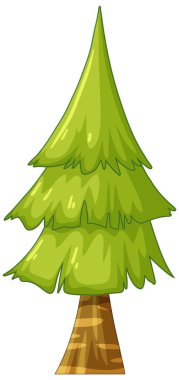 Beyaz arkaplan illüstrasyonunda izole edilmiş çam ağacı