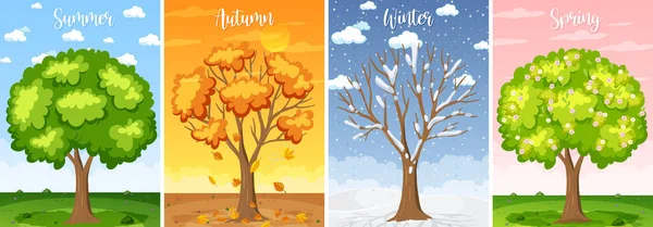 Set Four Seasons Backgrounds Illustration — Stock Vector