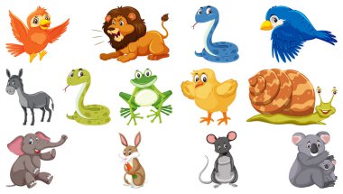 Beyaz arkaplan resimlerinde çeşitli hayvanlar