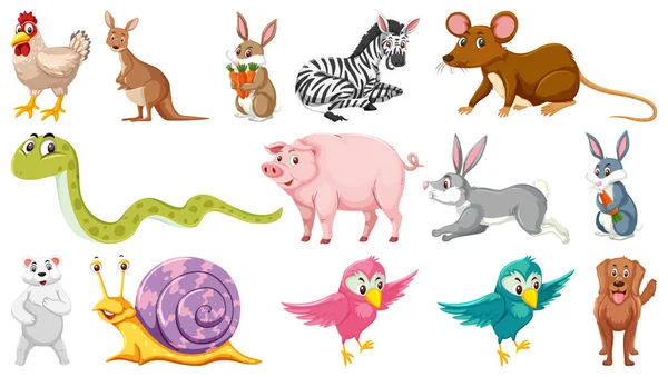 Conjunto Animales Aislados Diferentes Ilustración — Archivo Imágenes Vectoriales