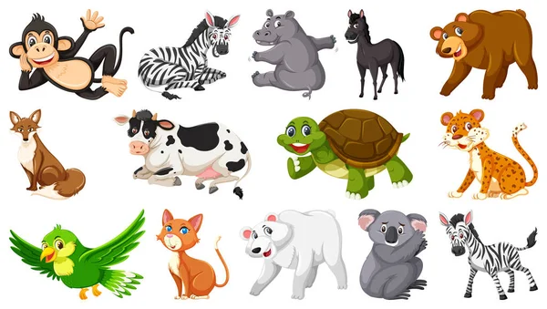 Σύνολο Απομονωμένων Διαφόρων Ζώων Εικονογράφηση — Διανυσματικό Αρχείο