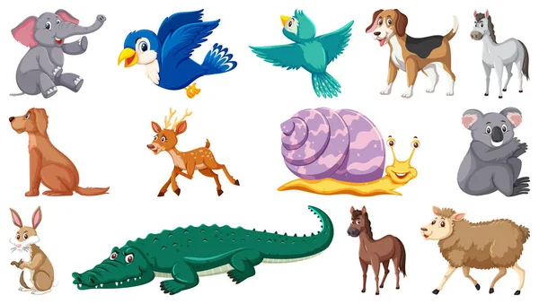 Set Isolated Different Animals Illustration — Stock Vector