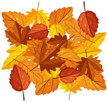 Autumn leaves on white background illustration