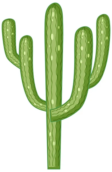 Saguaro Cactus Isolé Sur Fond Blanc Illustration — Image vectorielle