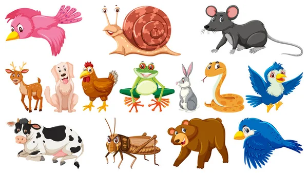 Σύνολο Μεμονωμένων Διαφορετικών Ζώων Εικονογράφηση — Διανυσματικό Αρχείο