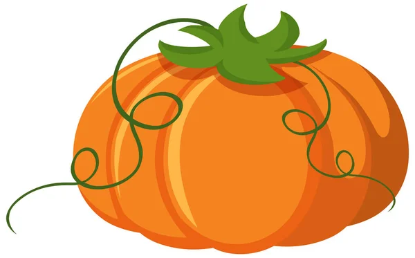 Orange Pumpkin Cartoon Style Illustration — Stock Vector