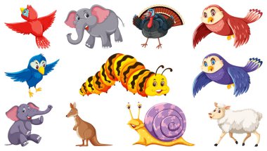 İzole edilmiş farklı hayvan örnekleri.