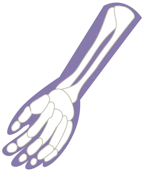 Human Hand Skeleton Bone Illustration — ストックベクタ