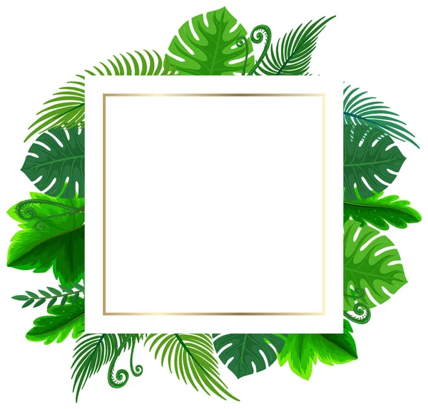 Vierkant Frame Met Tropische Groene Bladeren Illustratie — Stockvector