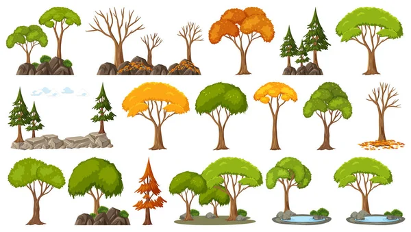 Conjunto Árvores Quatro Estações Sobre Fundo Branco Ilustração — Vetor de Stock
