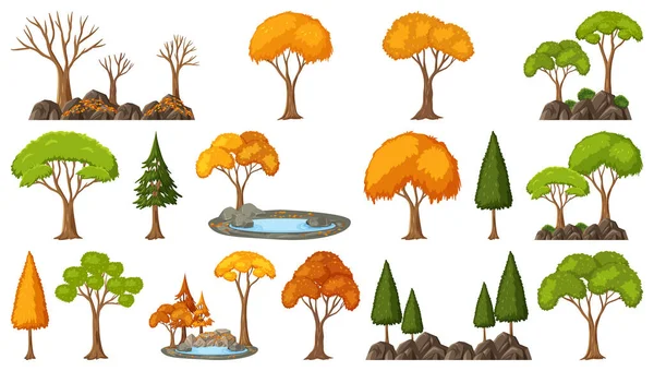 Set Four Seasons Trees White Background Illustration — Stock Vector