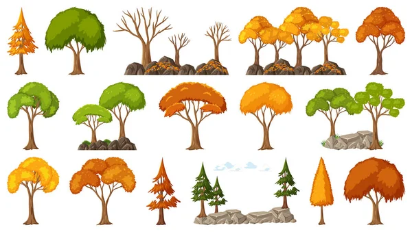 Zestaw Czterech Pór Roku Drzew Białym Tle Ilustracji — Wektor stockowy