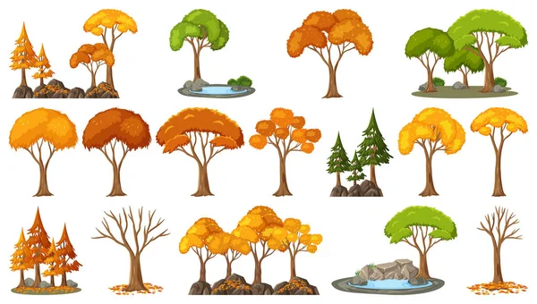 Soubor Čtyř Ročních Období Stromů Přírodních Objektů Ilustrace — Stockový vektor
