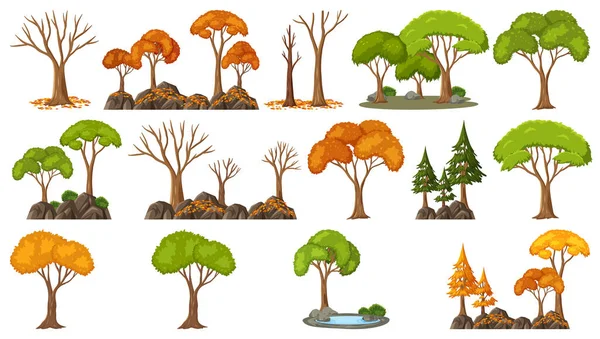 Set Four Seasons Trees White Background Illustration — Stock Vector