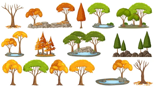 Set Von Vier Jahreszeiten Bäume Auf Weißem Hintergrund Illustration — Stockfoto